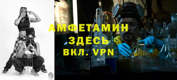 винт Лагань