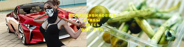 винт Лагань