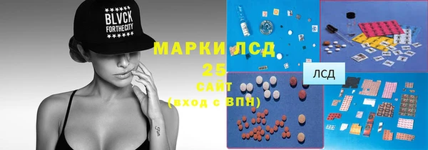 винт Лагань
