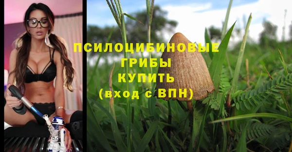 прущая мука Ладушкин