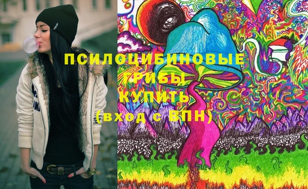 винт Лагань