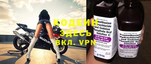 винт Лагань