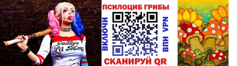 Псилоцибиновые грибы Cubensis  Купить  Цоци-Юрт 